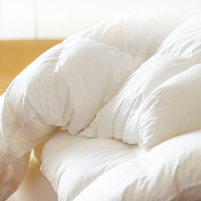 ポーランド産コウダ種マザーグース ダウン95% 冬用羽毛ふとん シングルサイズ