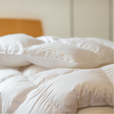 ポーランド産コウダ種マザーグース ダウン95% 薄め冬用羽毛ふとん クイーンサイズ