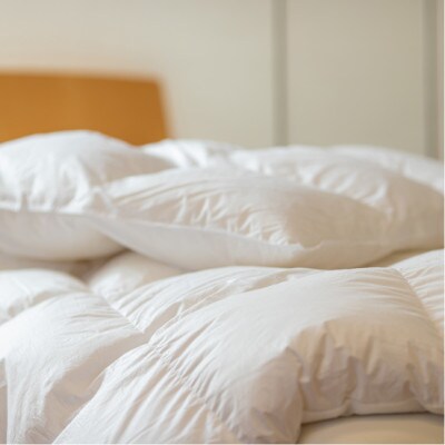 ポーランド産コウダ種マザーグース ダウン95% 薄め冬用羽毛ふとん キングサイズ