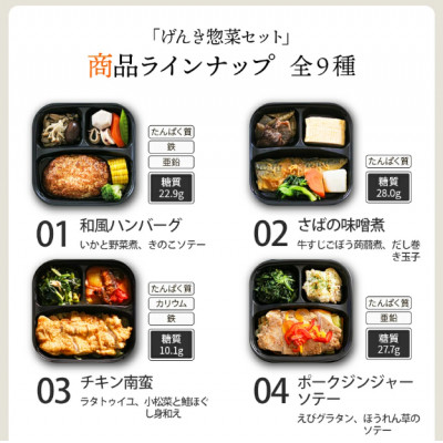 【冷凍惣菜】げんき惣菜9種セット/手作り・管理栄養士監修【配送不可地域：離島】