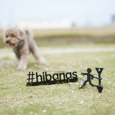 【HIBANAS】端材を熟練の職人がよみがえらせたドッグペグ・ミマモルマン