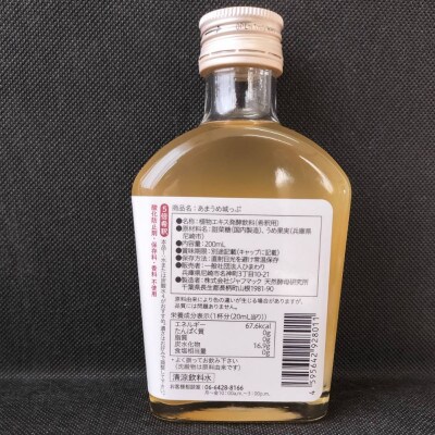 あまうめ城っぷ