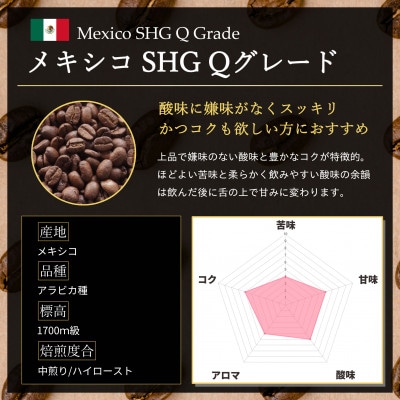 コーヒー豆 スペシャリティ Qグレード認証豆 メキシコ SHG 中煎り 1kg(500g×2)