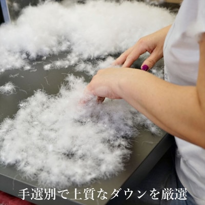 逸品 ポーランド産「スーペリア」コウダ種マザーグース ダウン98% 冬用 羽毛布団 ダブルサイズ