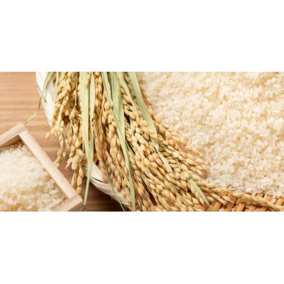 令和6年産 兵庫県北産コシヒカリ5kg(無洗米・美味しさ長持ち真空パック)