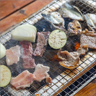 尼崎運河クルーズ・釣り・BBQ・武庫川渡船施設利用券