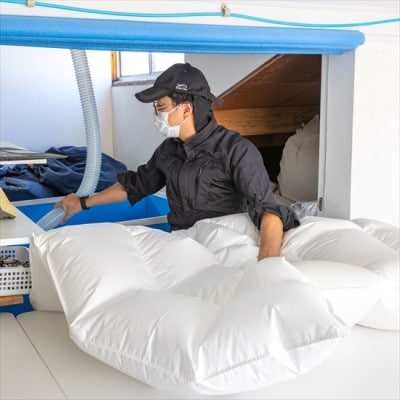 逸品 アイスランド産アイダーダック ダウン98% 春秋用合掛け羽毛ふとん セミダブルサイズ