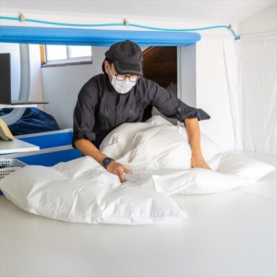 逸品 アイスランド産アイダーダック ダウン98% 夏用肌掛け羽毛ふとん シングルサイズ