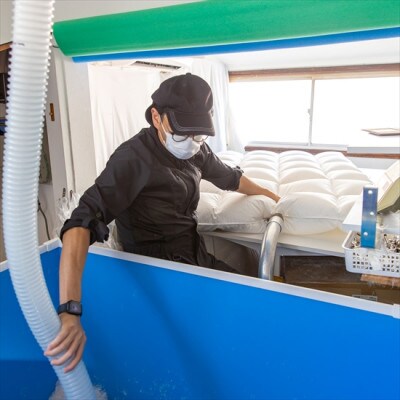 ポーランド産コウダ種マザーグース ダウン95% 冬用羽毛ふとん ダブルサイズ