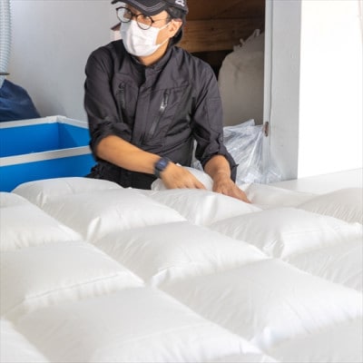 ポーランド産コウダ種ホワイトグース ダウン93% 薄め冬用羽毛ふとん ダブルサイズ