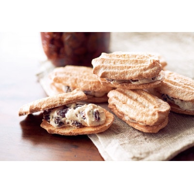 アンテノール　クッキーアソート(48個入)