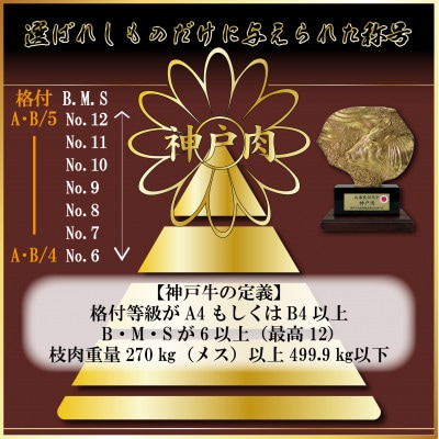 訳あり 神戸牛 サイコロステーキ(部位おまかせ) 500g AGDS3【2026年4月より順次発送】【配送不可地域：離島】
