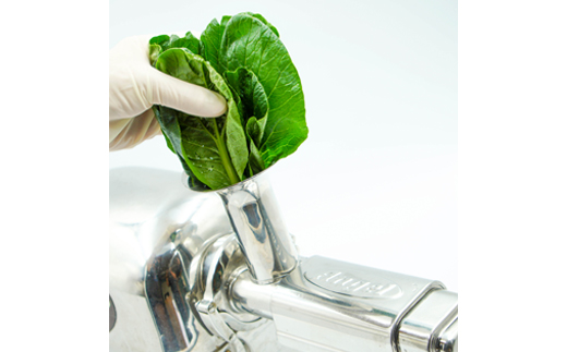 コールドプレスジュース2デイクレンズ12本セット(冷蔵品)【配送不可地域：離島】