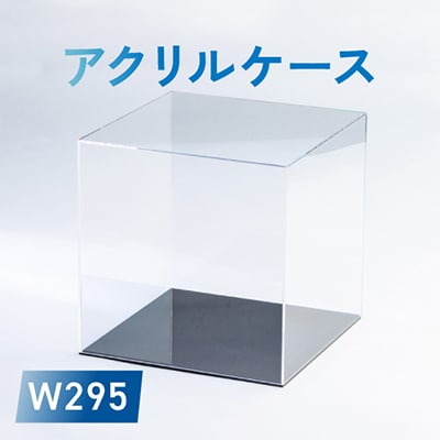 アクリルケース　W295