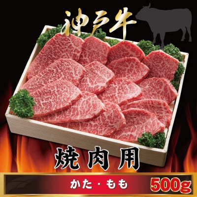 神戸牛 焼肉用 かた・もも 500g AGY2 【2026年4月より順次発送】【配送不可地域：離島】