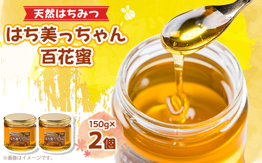 天然はちみつ「はち美っちゃん」　百花蜜　150g×2個