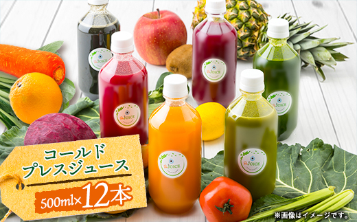 コールドプレスジュース2デイクレンズラージサイズ(500ml×12本セット)冷蔵品【配送不可地域：離島】