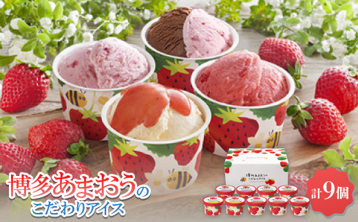 博多あまおうのこだわりアイス【AH-ABR】【配送不可地域：離島】