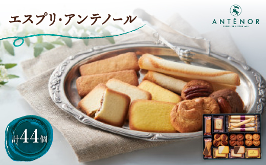 アンテノール　エスプリ・アンテノール(44個入)