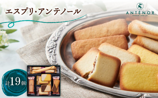 アンテノール　エスプリ・アンテノール　19個入