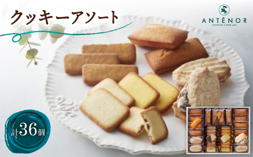 アンテノール　クッキーアソート　36個入