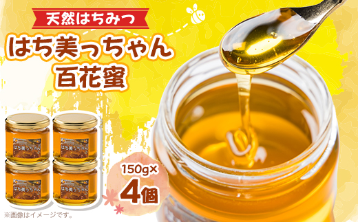 天然はちみつ「はち美っちゃん」　百花蜜　150g×4個