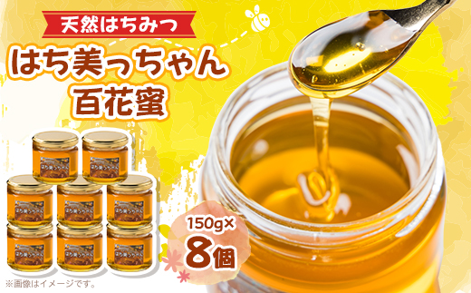 天然はちみつ「はち美っちゃん」　百花蜜　150g×8個