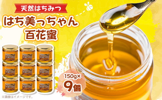 天然はちみつ「はち美っちゃん」　百花蜜　150g×9個