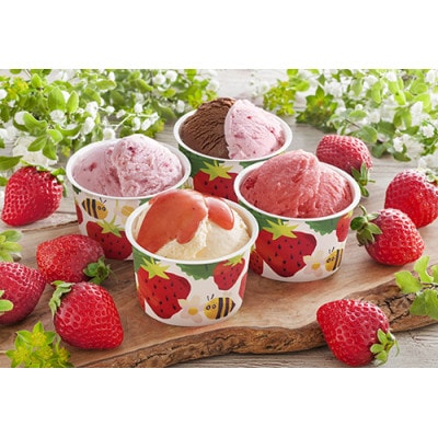 【毎月定期便】トッピングアイス、チョコアイス、ブランドアイス、いちごアイス　おすすめ4品全4回【配送不可地域：離島】