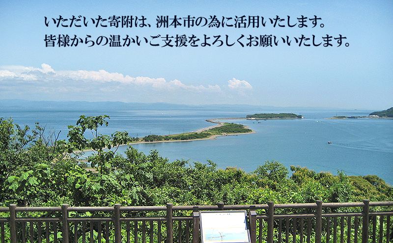 【返礼品なし】洲本市応援寄附 | ふるさと納税 寄附のみ 兵庫県 洲本市 淡路島