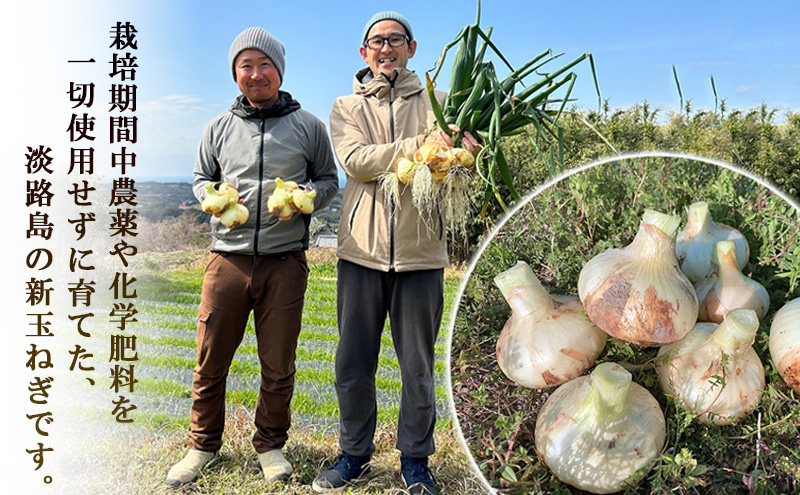 栽培期間中農薬不使用の淡路島新玉ねぎ3kg 新玉ねぎ 玉ねぎ タマネギ 野菜 旬の野菜 季節の野菜 兵庫県 洲本市 淡路島