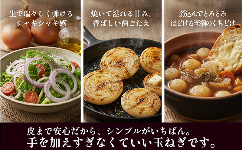 淡路島産「皮まで安心。」玉ねぎ5kg　兵庫県 洲本市 淡路島