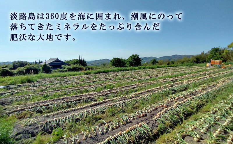 栽培期間中農薬不使用の淡路島新玉ねぎ3kg 新玉ねぎ 玉ねぎ タマネギ 野菜 旬の野菜 季節の野菜 兵庫県 洲本市 淡路島