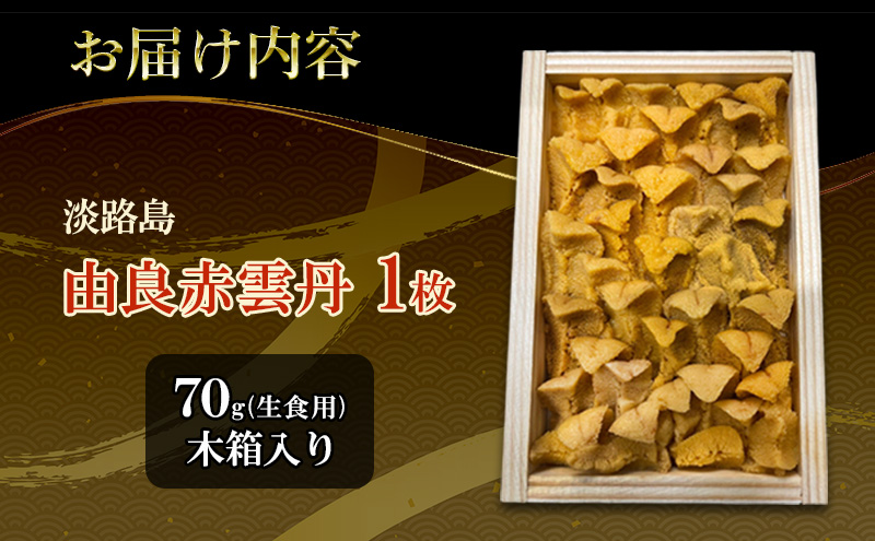 淡路島　由良赤雲丹　1枚 兵庫県 洲本市 淡路島