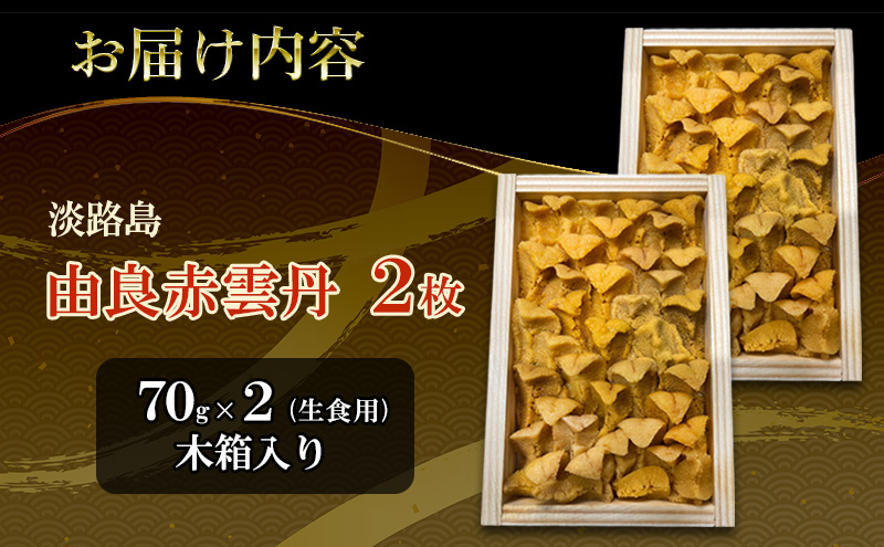 淡路島　由良赤雲丹　2枚 兵庫県 洲本市 淡路島