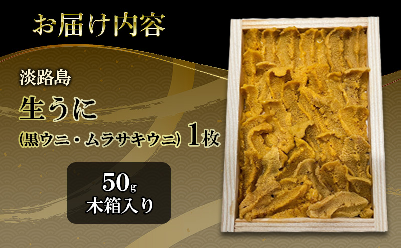 淡路島　由良黒雲丹　1枚 兵庫県 洲本市 淡路島