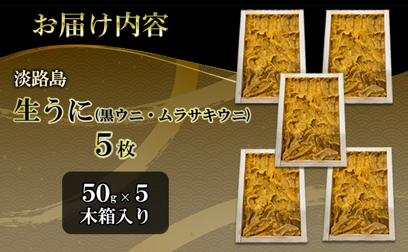 淡路島　由良黒雲丹　5枚 兵庫県 洲本市 淡路島