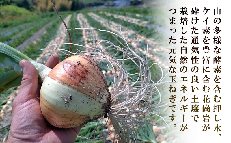 栽培期間中農薬不使用の淡路島新玉ねぎ3kg 新玉ねぎ 玉ねぎ タマネギ 野菜 旬の野菜 季節の野菜 兵庫県 洲本市 淡路島