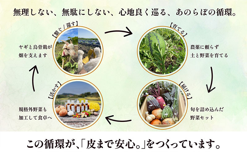 淡路島産「皮まで安心。」玉ねぎ5kg　兵庫県 洲本市 淡路島