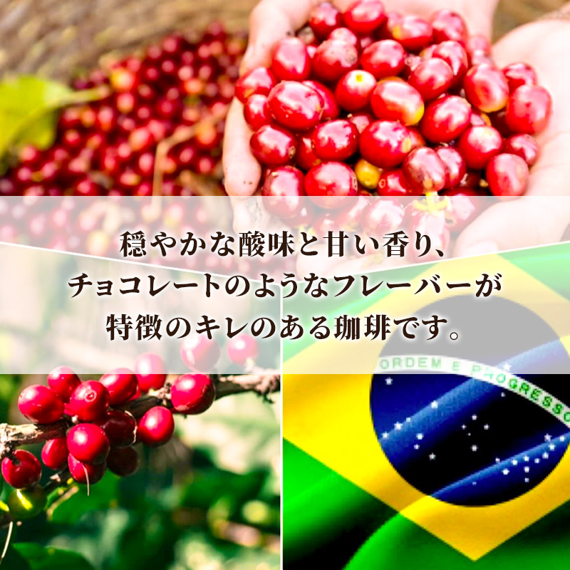 自家焙煎珈琲　シングルオリジン　JASブラジル　200g【豆】 兵庫県 洲本市 淡路島