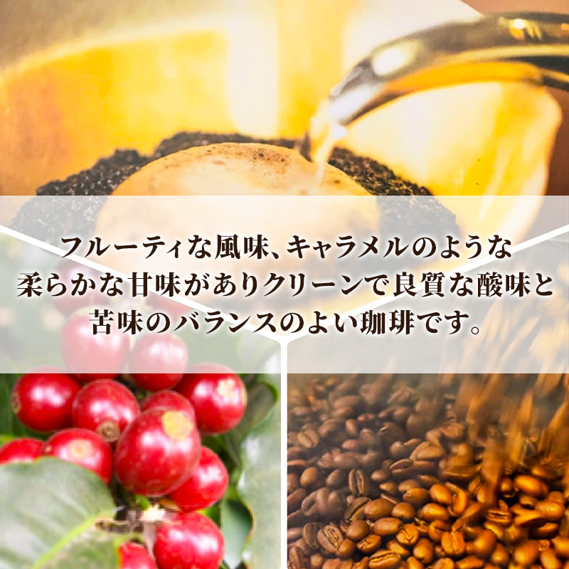 自家焙煎珈琲　シングルオリジン　グァテマラ　フロレンシア農園　200g【粉】 兵庫県 洲本市 淡路島