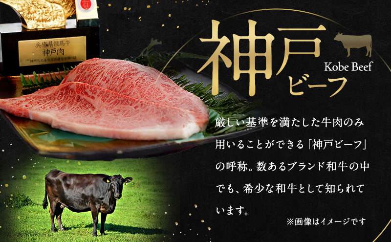 【淡路島産 黒毛和牛 神戸ビーフ】 サーロインステーキ 500g（250g×2枚） 兵庫県 洲本市 淡路島