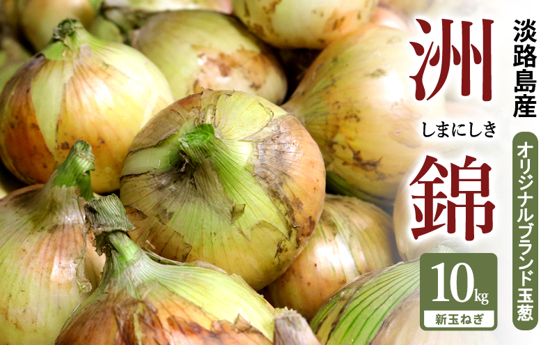 予約受付 10kg 新玉ねぎ オリジナルブランド 洲錦 (しまにしき) 商標登録商品 玉ねぎ タマネギ 野菜 旬の野菜 季節の野菜 兵庫県 洲本市 淡路島