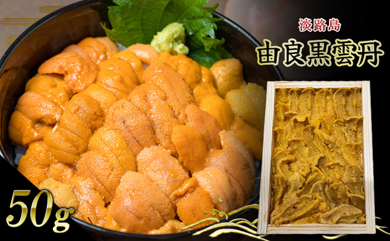 淡路島　由良黒雲丹　1枚 兵庫県 洲本市 淡路島