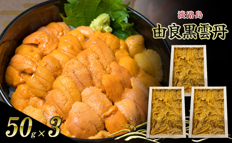 淡路島　由良黒雲丹　3枚 兵庫県 洲本市 淡路島