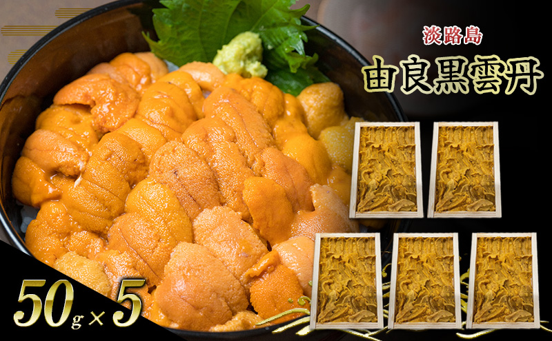 淡路島　由良黒雲丹　5枚 兵庫県 洲本市 淡路島