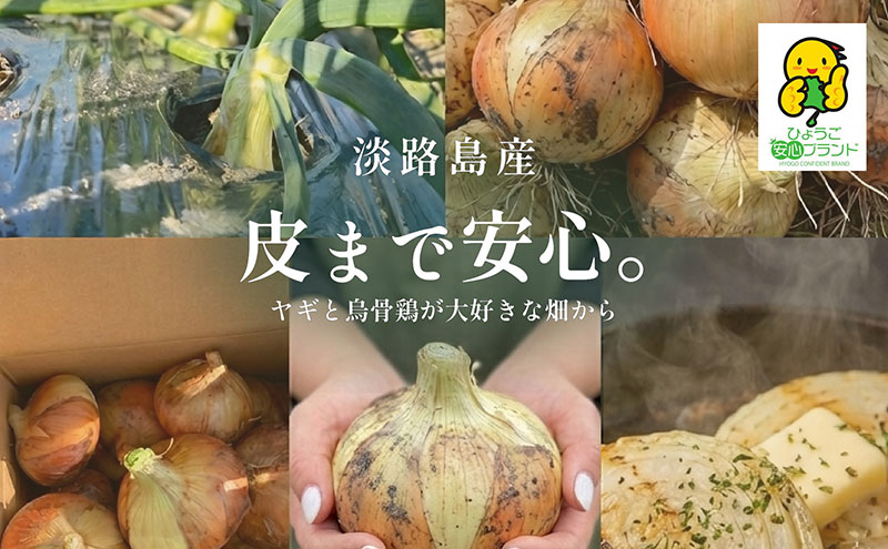 淡路島産「皮まで安心。」玉ねぎ5kg　兵庫県 洲本市 淡路島