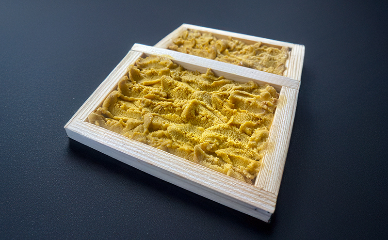 淡路島由良の黒 ウニ 【4枚】3月～5月配送 無添加 木箱入り ミョウバン不使用 うに 雲丹 冷蔵配送 兵庫県 洲本市 淡路島