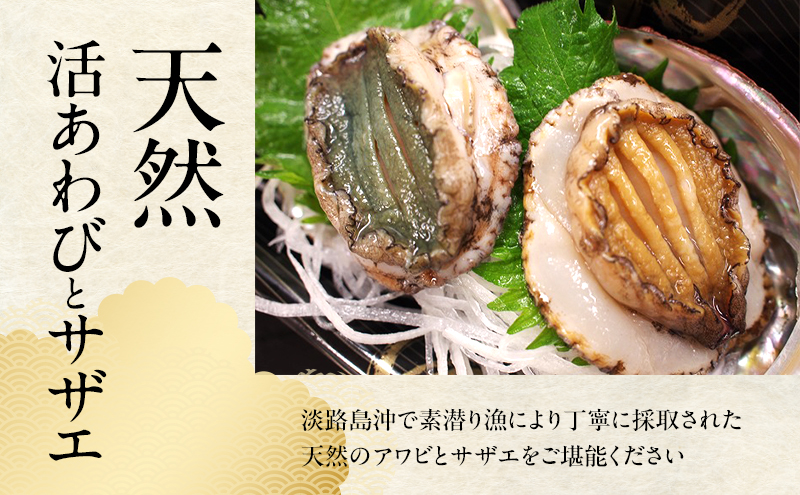 天然 活アワビとサザエ（ アワビ 2～3個入り / サザエ 4～5個入） 刺身 貝 海鮮 BBQ 冷蔵配送 兵庫県 洲本市 淡路島