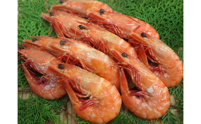 天然 アシアカエビ 淡路島 由良産 氷〆 1.2kg 10月～5月配送 えび 足赤エビ 天然えび 魚介 冷蔵配送 兵庫県 洲本市